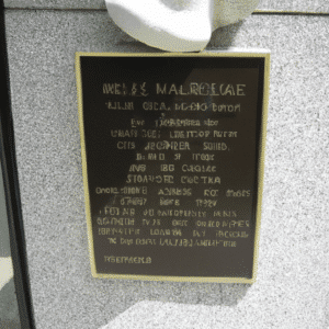 rhinoplasty costs buffalo new york 2