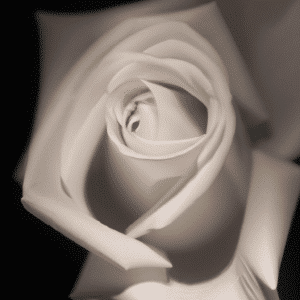 rhinoplasty costs fort wayne indiana 3