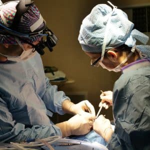 Photo Rhinoplasty Surgery Costs