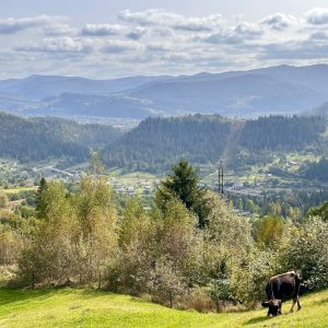 Photo Rhinoplasty Costs Beaverton Oregon