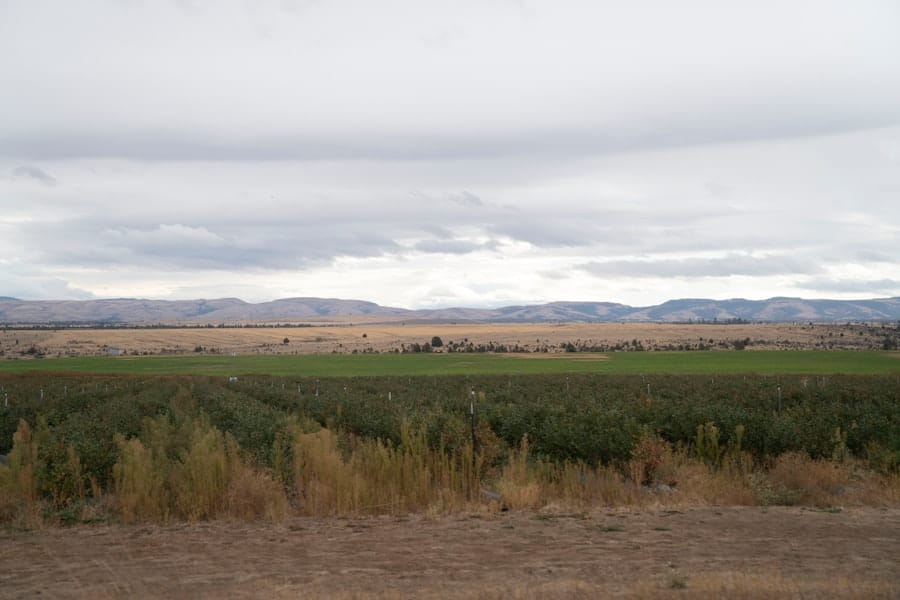 Photo Rhinoplasty Costs Beaverton Oregon