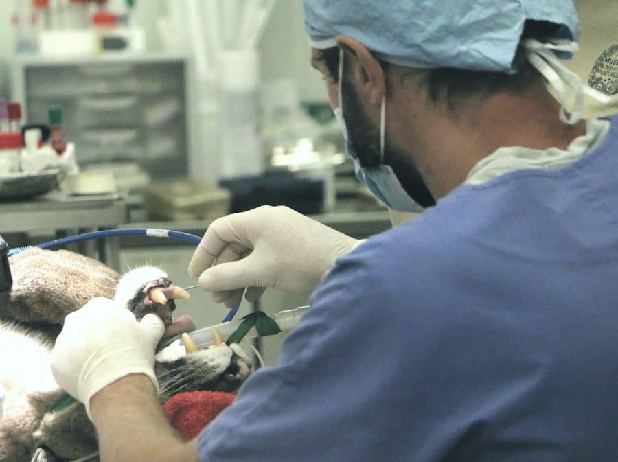 Rhinoplasty Specialist