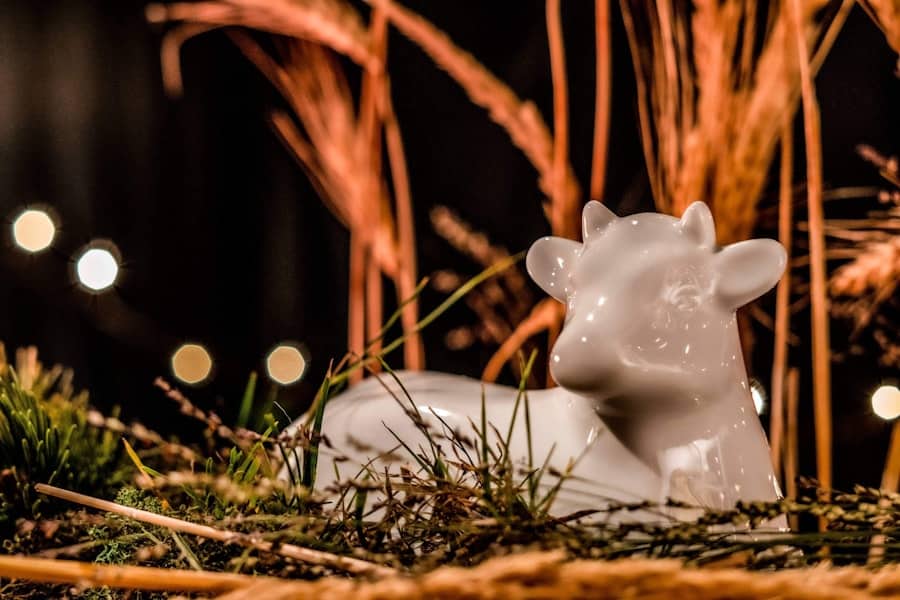 Rhinoplasty Financing