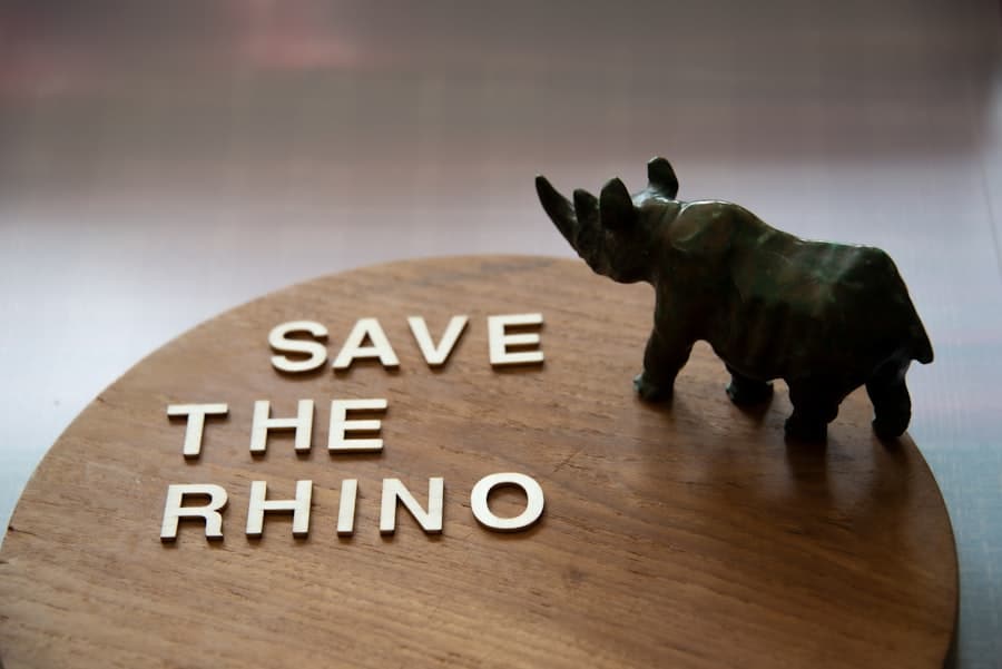 Photo Rhinoplasty Financing