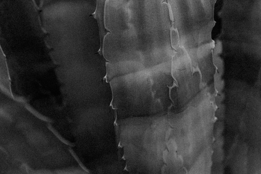 Photo Rhinoplasty Photos