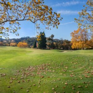 Photo Nose Job Specials Chandler Az