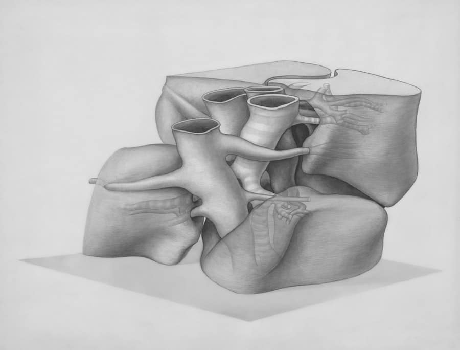 Photo Rhinoplasty Consultation