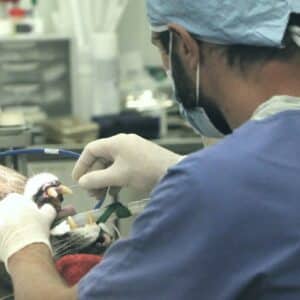 Photo Rhinoplasty Surgeon