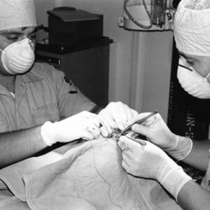 Photo Cosmetic Surgeon