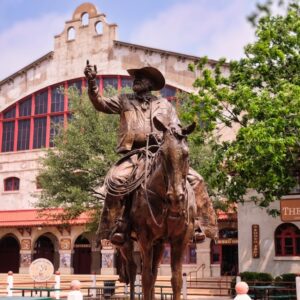 Photo Plastic Surgeon Heritage Ranch Tx